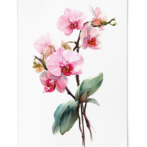Watercolor Pink Orchids Wall Art Print Unframed - Elegant Floral Serenity - Picture 2 of 6